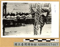 藏品(臺灣原住民風俗照片：泰雅族頭骨架)的圖片